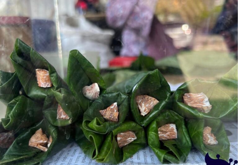 Ranup atau daun sirih memiliki peranan penting dalam kehidupan masyarakat Aceh.